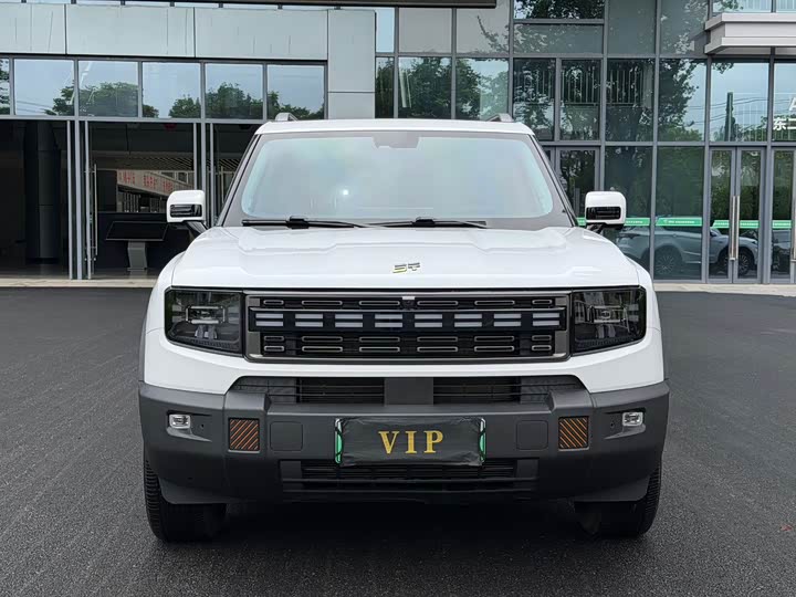 2025 JetourShanhaiT1 2025 Model 150km Discovery