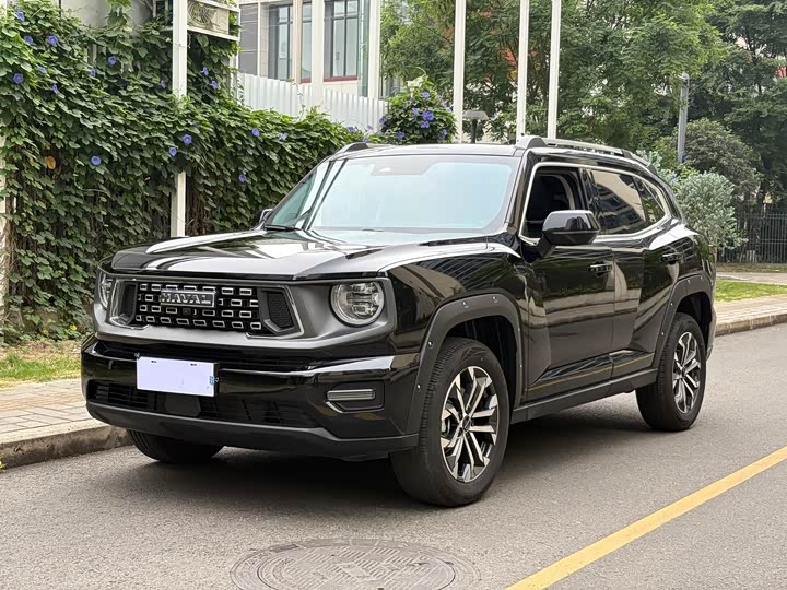 Haval Big Dog PLUS 2023 1.5T two-wheel drive trendy version Plus