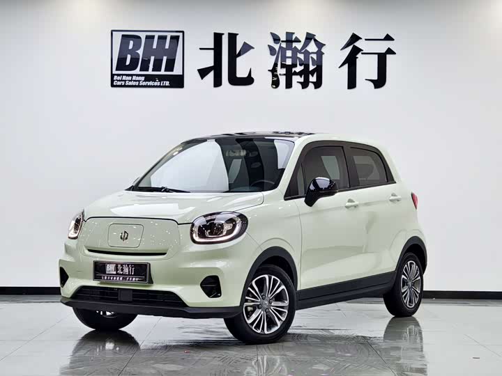 2024 Leipao T03 2024 Model 310 Comfortable Edition