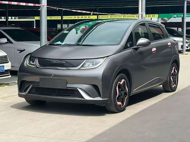 2021 Dolphin 2021 Model 405km Fashion Edition