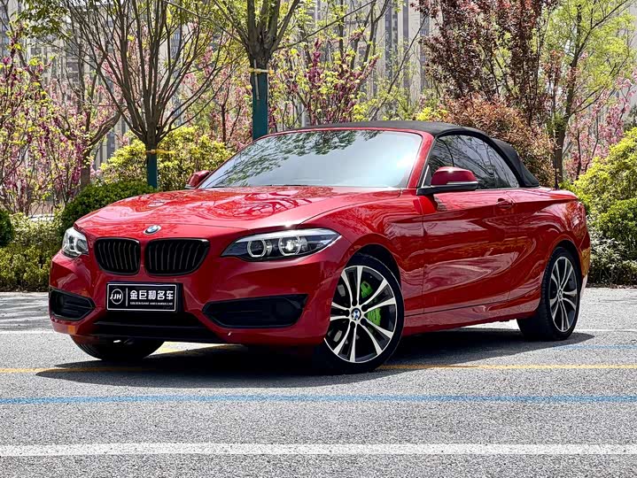 BMW 2 Series (Imported) 2019 225i Convertible Coupe Sports Design Package