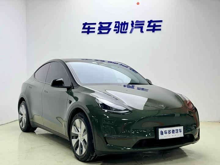 Model Y 2021 standard range rear-wheel drive version