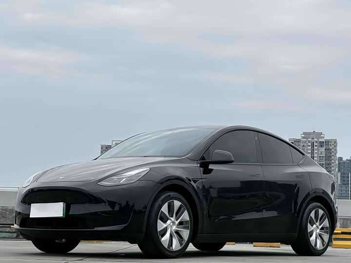 Model Y 2022 rear-wheel drive version