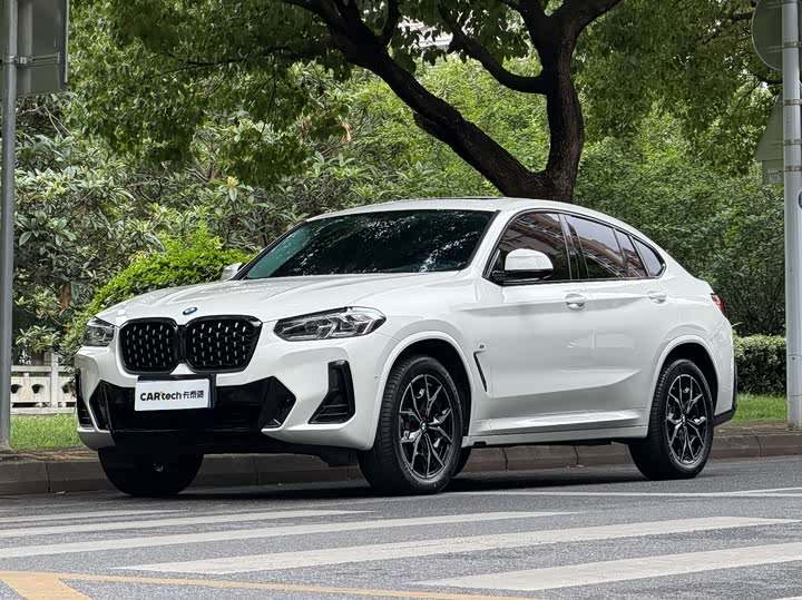 BMW X4 2022 xDrive25i M Sport Package