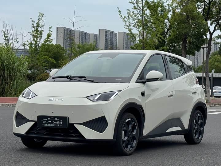 Seagull 2025 smart driving version 405km flying version