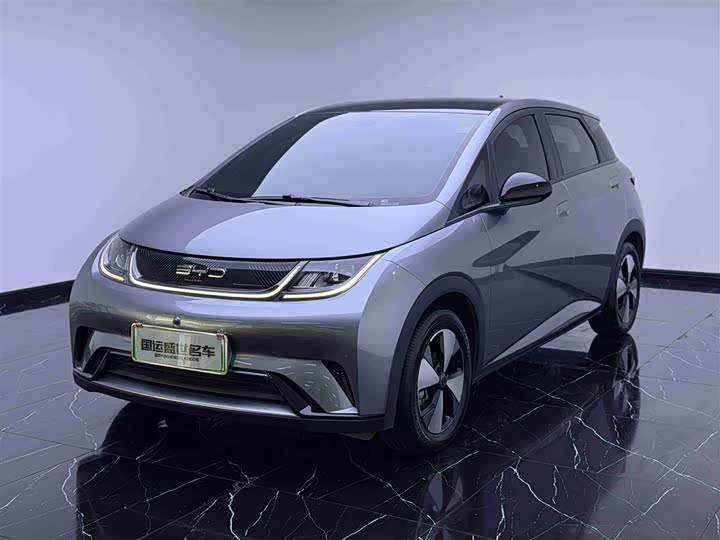 BYD Dolphin 2023 420km Fashion Edition