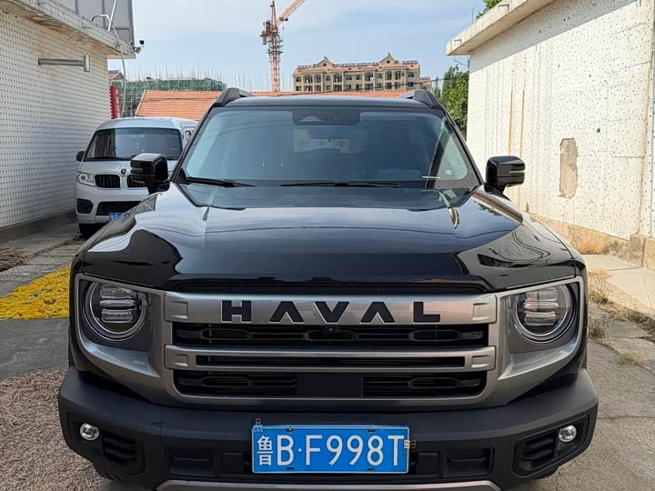 Haval Big Dog 2024 1.5T DCT Border Collie Edition