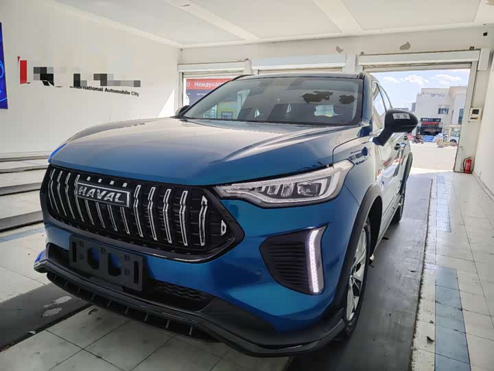 Haval Red Rabbit 2022 Exclusive Edition 1.5T Red Bronze Rabbit
