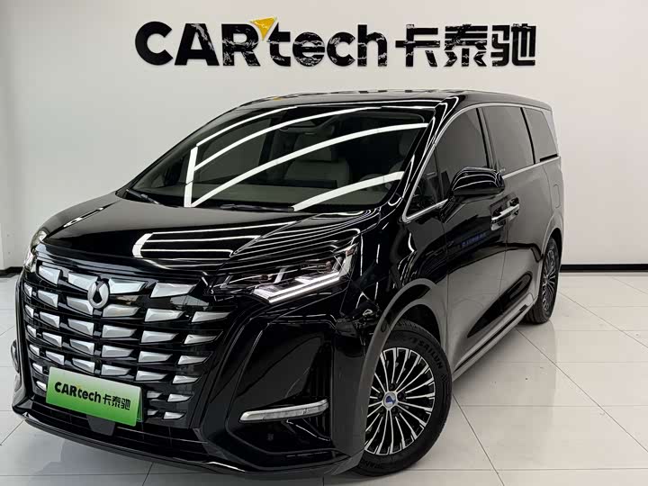 Denza D9 2022 DM-i 1040 Premium Type