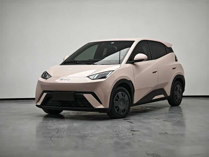 Seagull 2024 Honor Edition 305km Vitality Edition