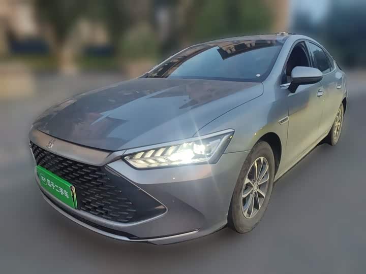 Qin PLUS 2024 Honor Edition DM-i 55KM Leading Type
