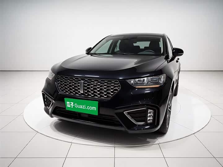 Wei brand VV5 2021 1.5T 2WD Intelligent Pioneer