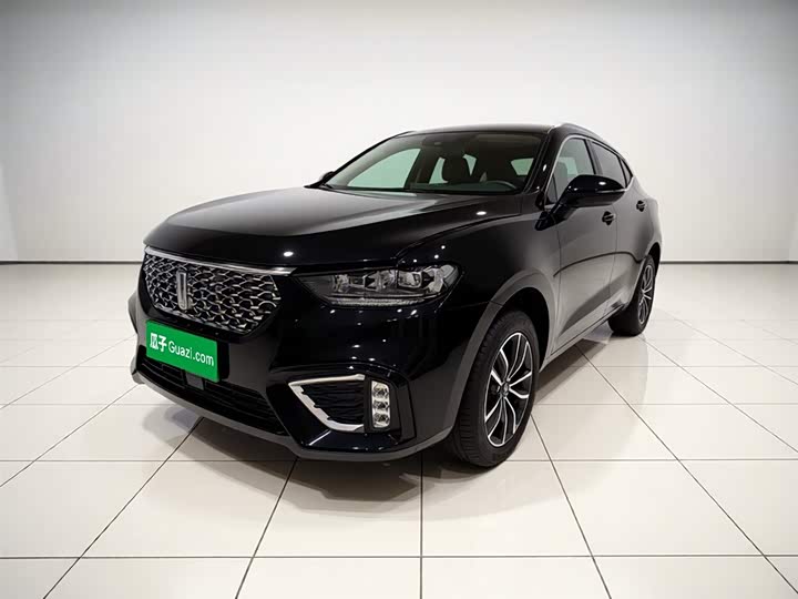 Wei brand VV5 2021 1.5T 2WD Intelligent Pioneer