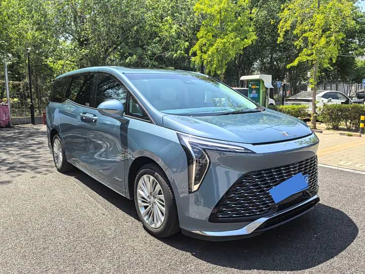 Century 2023 2.0T seven-seat Yuanshi Edition