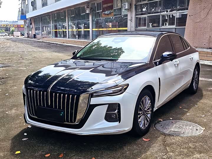Hongqi H5 2023 2.0T Automatic Intelligent Connected Flag Edition