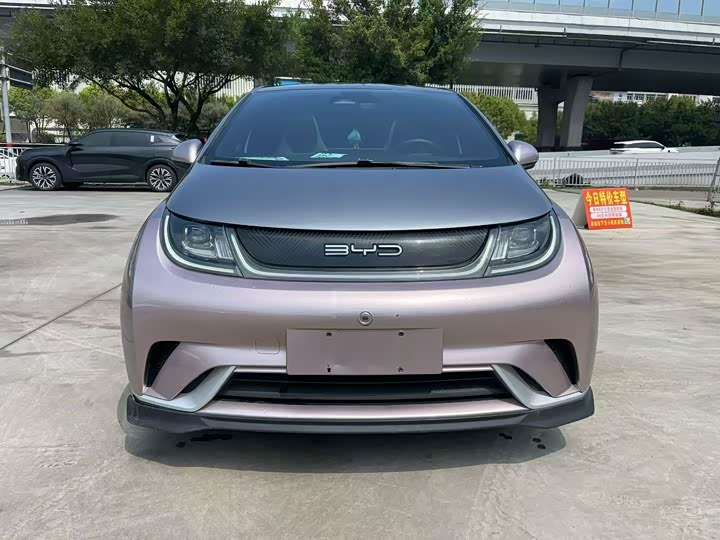 Dolphin 2021 401km Knight Edition