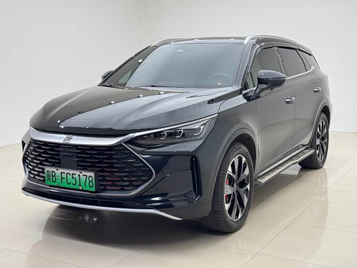 Tangxin Energy 2024 DM-p Champion Edition 215KM four-wheel drive exclusive model