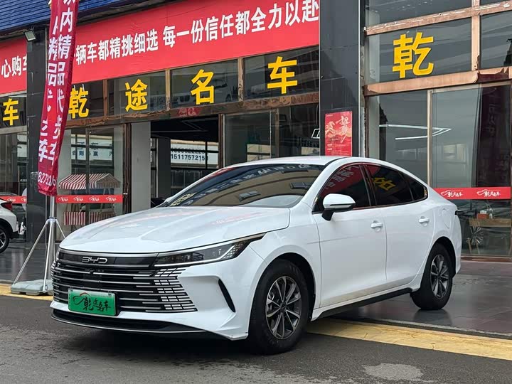 Destroyer 05 2024 Honor Edition DM-i 55KM Luxury Type