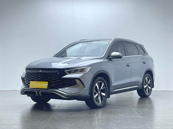 Song Pro New Energy 2024 Honor Edition DM-i 110KM Transcendence