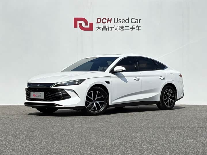 Qin L 2025 DM-i smart driving version 120KM leading model