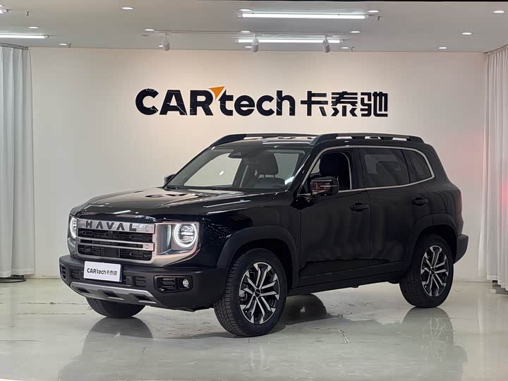 Haval Big Dog 2024 1.5T DCT Border Collie Edition