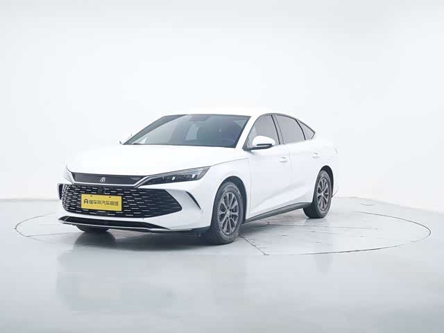 Qin L 2024 DM-i 80KM leading model