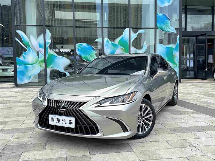 Lexus ES 2021 260 Luxury