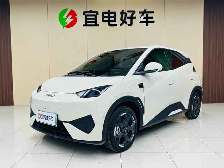 Seagull 2025 smart driving version 305km free version
