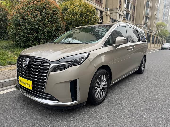 Buick GL8 2023 ES Lu Zun Comfort Type