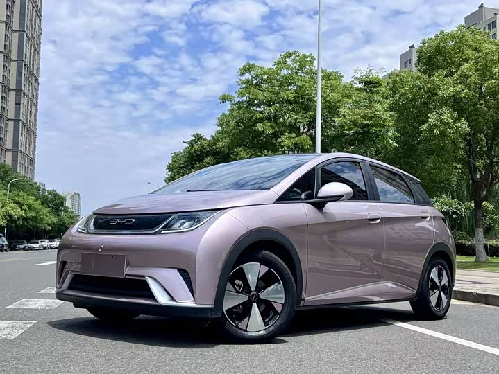 BYD Dolphin 2023 420km Fashion Edition