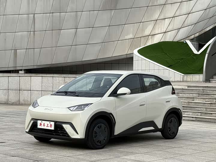Seagull 2025 305km active version