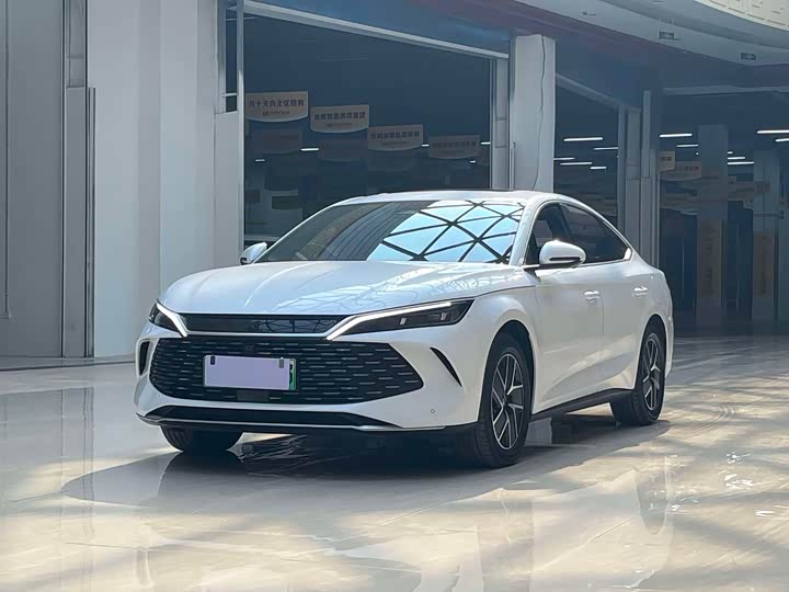 Qin L 2024 DM-i 120KM transcendent model
