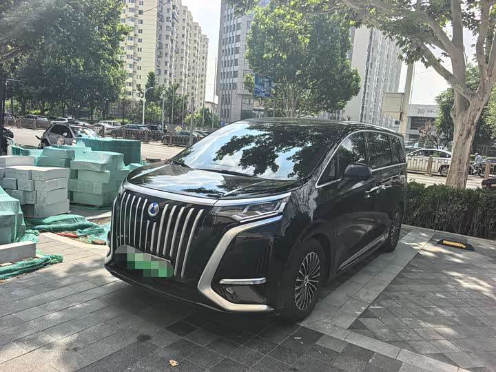 Denza D9 2024 EV 600 four-wheel drive premium model