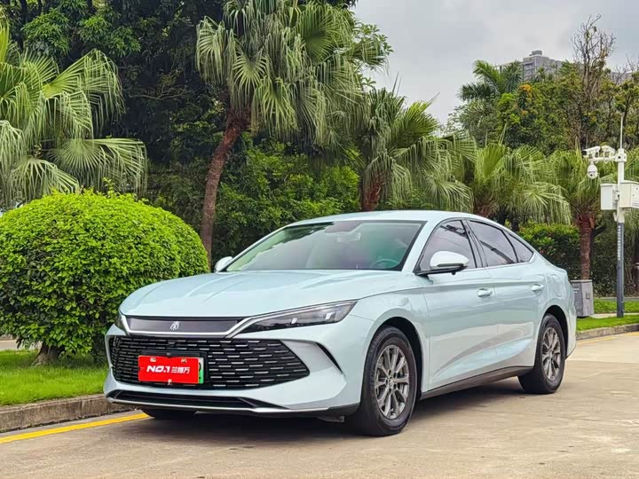 Qin L 2024 DM-i 80KM leading model