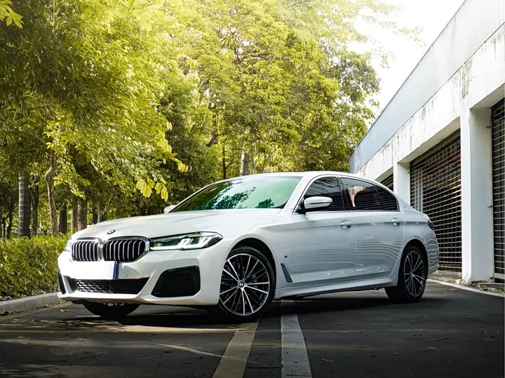 2021 BMW 5 Series 2021 530Li Leading M Sports Package
