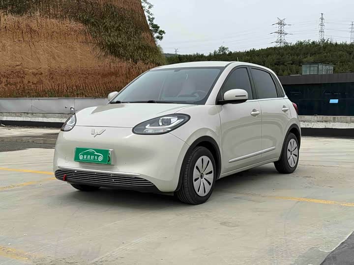 2023 Wuling Bingo 2023 model 203km light model