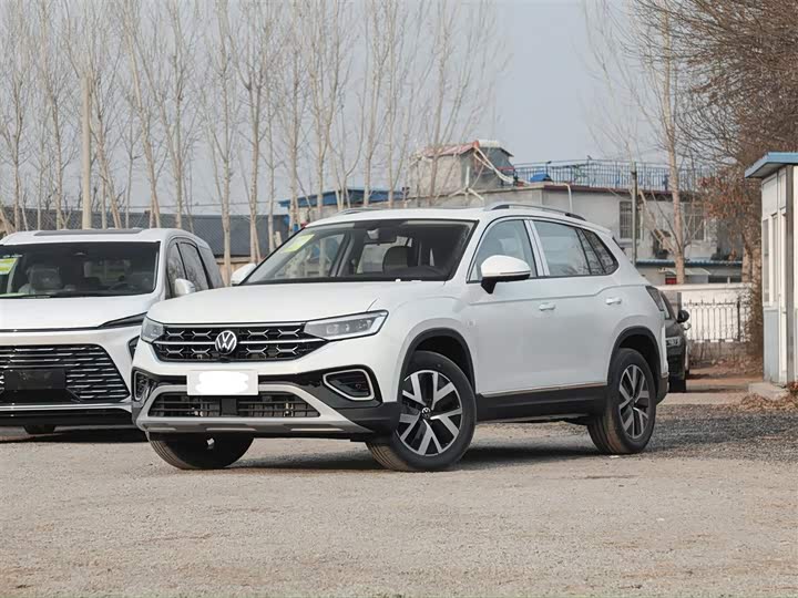 2025 Tanyue 2025 model 300TSI