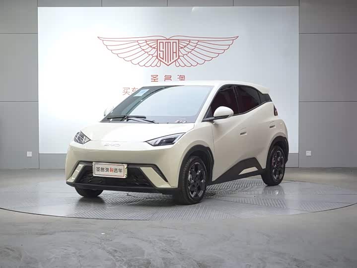 2025 Seagull 2025 305km Free Edition