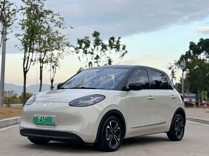 2024 Wuling Bingo 2024 model 410km Lingxi exclusive model