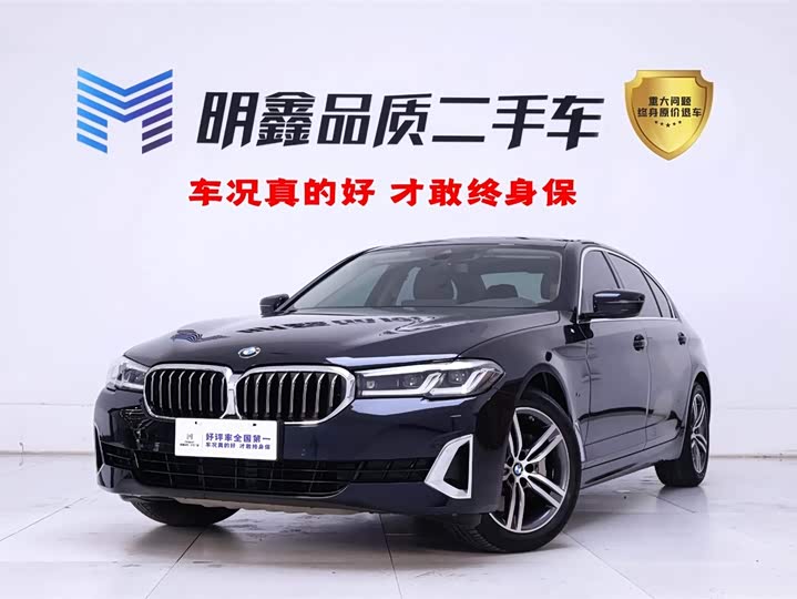 BMW 5 Series 2021 530Li Leading Luxury Package