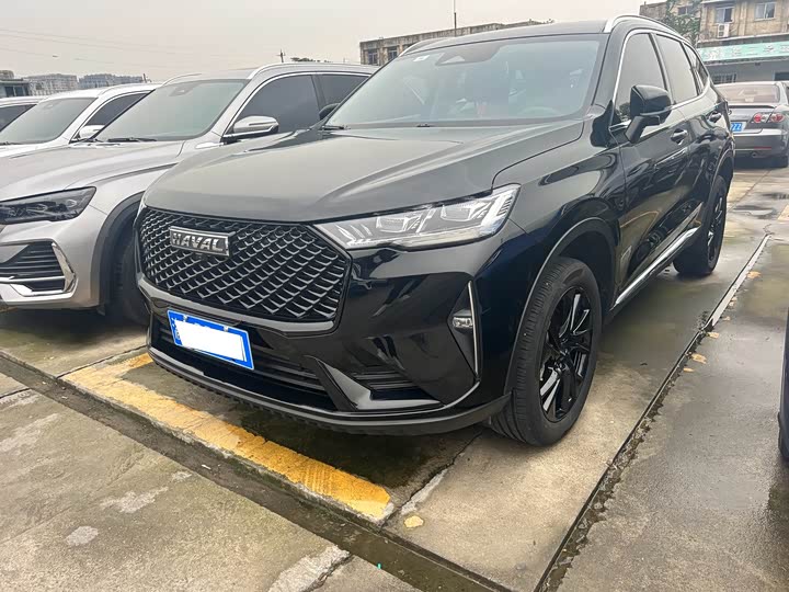 2021 Haval H6 2021 National Fashion Edition 2.0GDIT Automatic Champion Edition