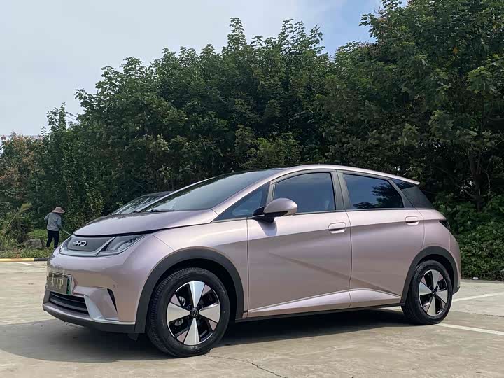 2023 BYD Dolphin 2023 420km Fashion Edition