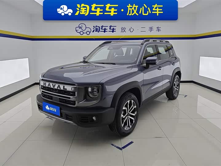 Haval Big Dog 2024 1.5T DCT Border Collie Edition