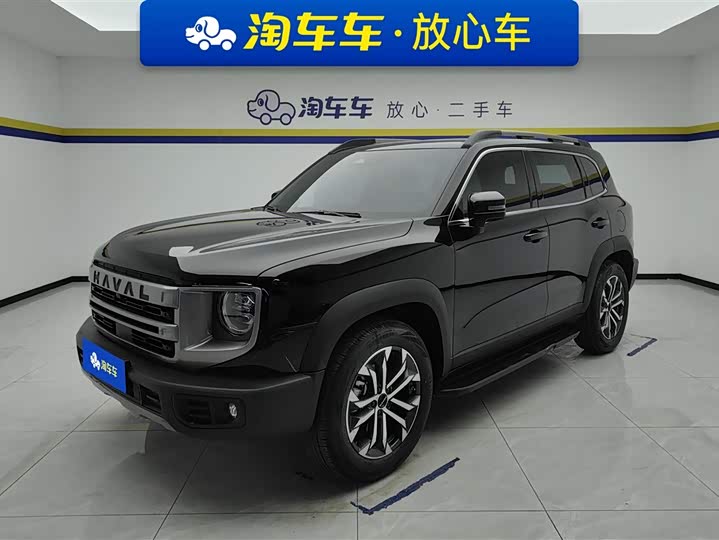 Haval Big Dog 2024 1.5T DCT Border Collie Edition