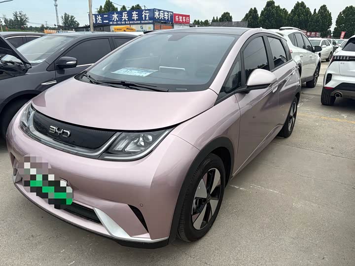 2024 Dolphin 2025 420km Free Edition