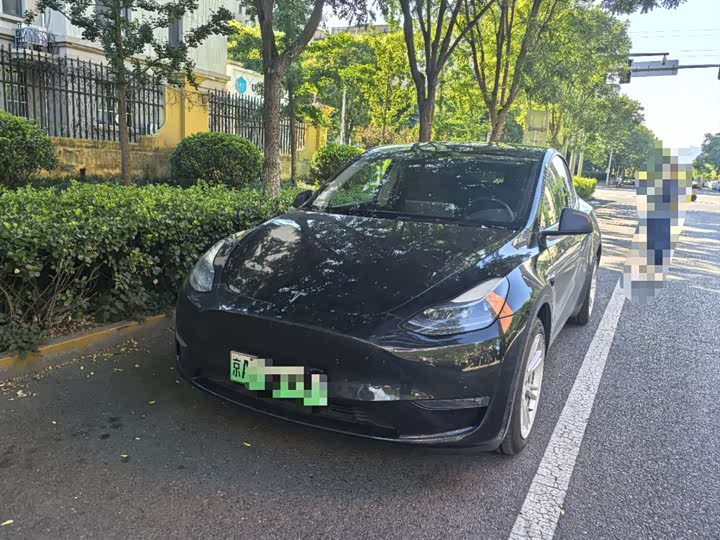 Model Y 2021 standard range rear-wheel drive version