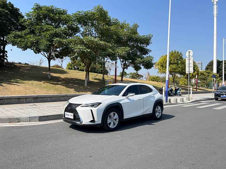 2021 Lexus UX 2020 260h Discovery Edition National V