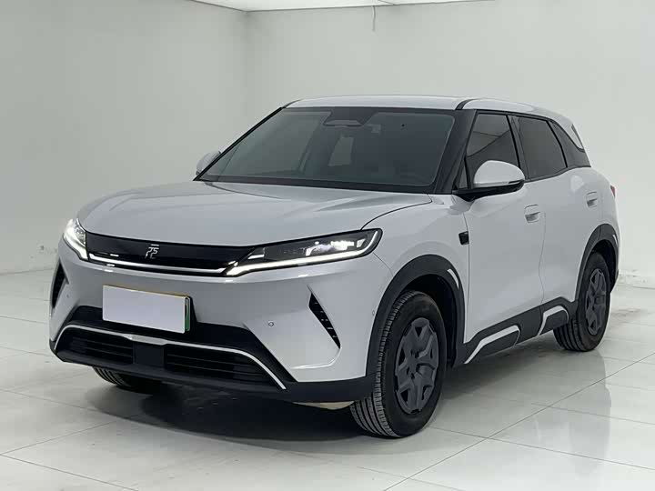 Yuan UP 2025 Smart Driving Edition 401KM Vitality Edition