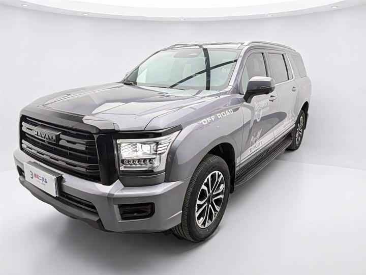 Haval H5 2024 2.0T automatic four-wheel drive pioneer gasoline