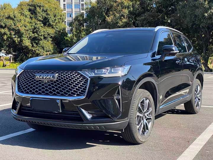 Haval H6 2024 1.5T two-wheel drive classic version